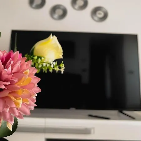 Apartment Holliday Refuge